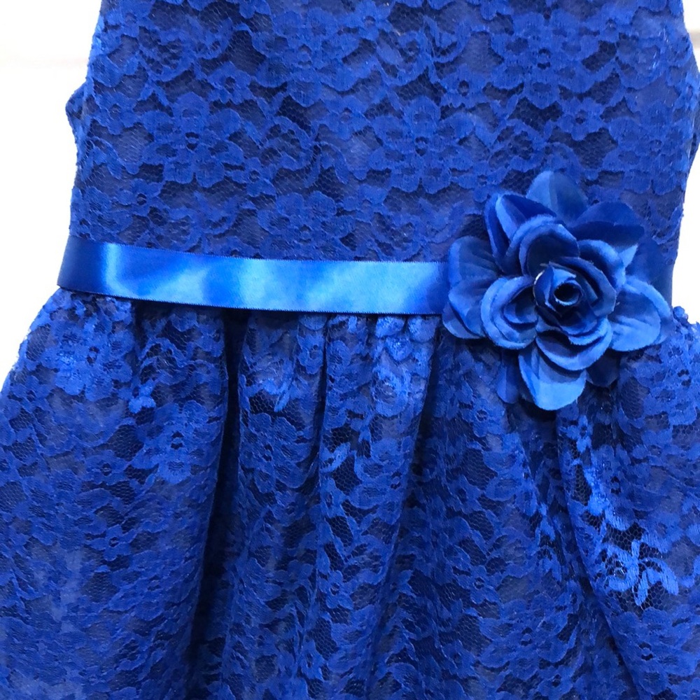 Blue Formal - Picture 2 of 4